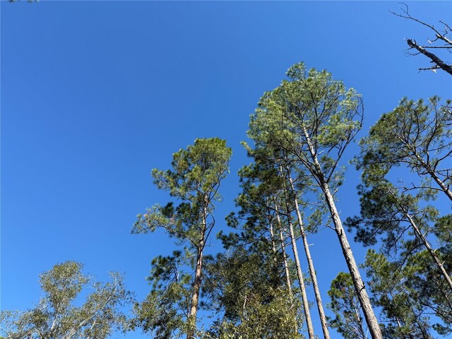 484 NE 412th Ave, Old Town, FL 32680 - photo 3