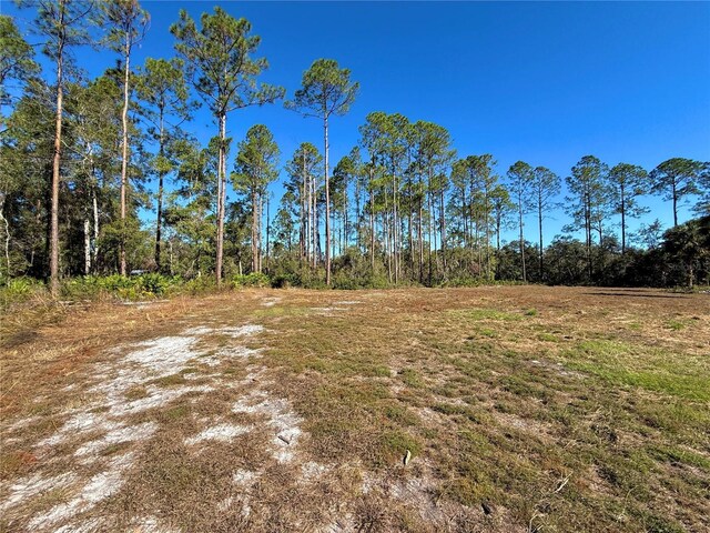 484 NE 412th Ave, Old Town, FL 32680 - photo 4