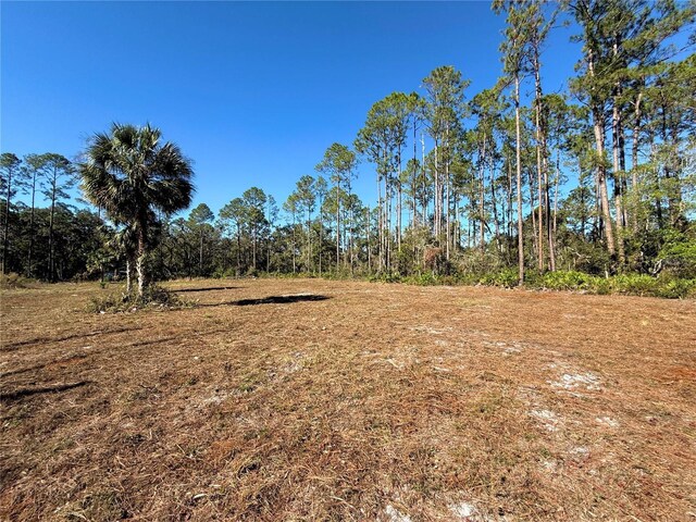 484 NE 412th Ave, Old Town, FL 32680 - photo 5