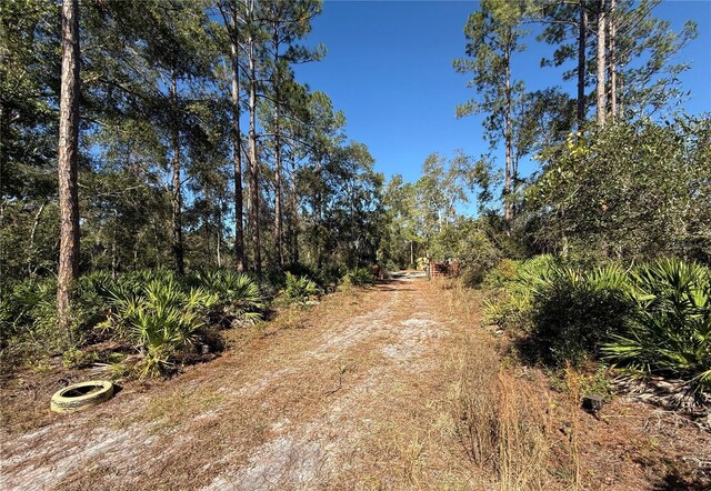 484 NE 412th Ave, Old Town, FL 32680 - photo 12