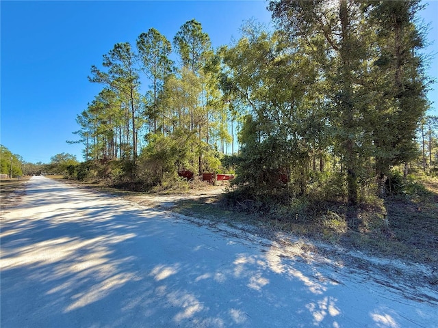 484 NE 412th Ave, Old Town, FL 32680 - photo 13