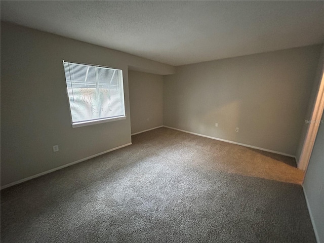 spare room featuring carpet flooring and a textured ceiling