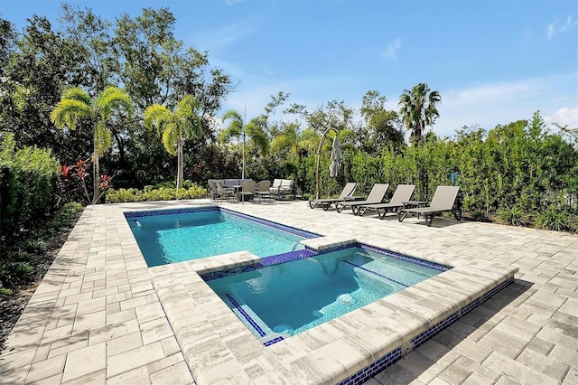 view of swimming pool with a patio