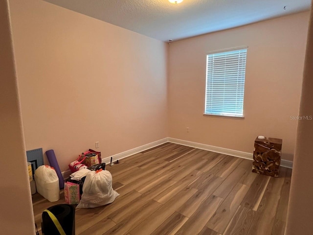 interior space featuring hardwood / wood-style floors and a textured ceiling