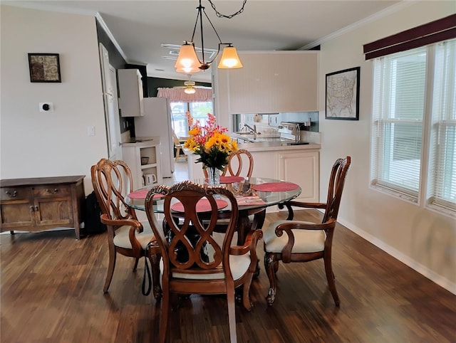 dining area featuring sink, ornamental molding, and dark hardwood / wood-style flooring