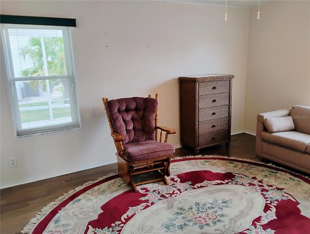 sitting room with dark wood-type flooring