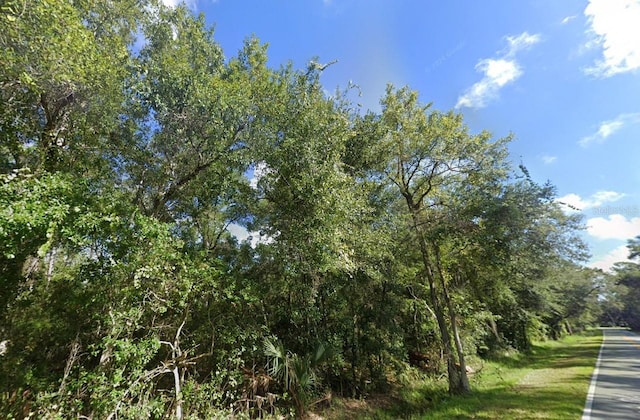 Listing photo 3 for 00 Old Kissimmee Rd, Davenport FL 33896