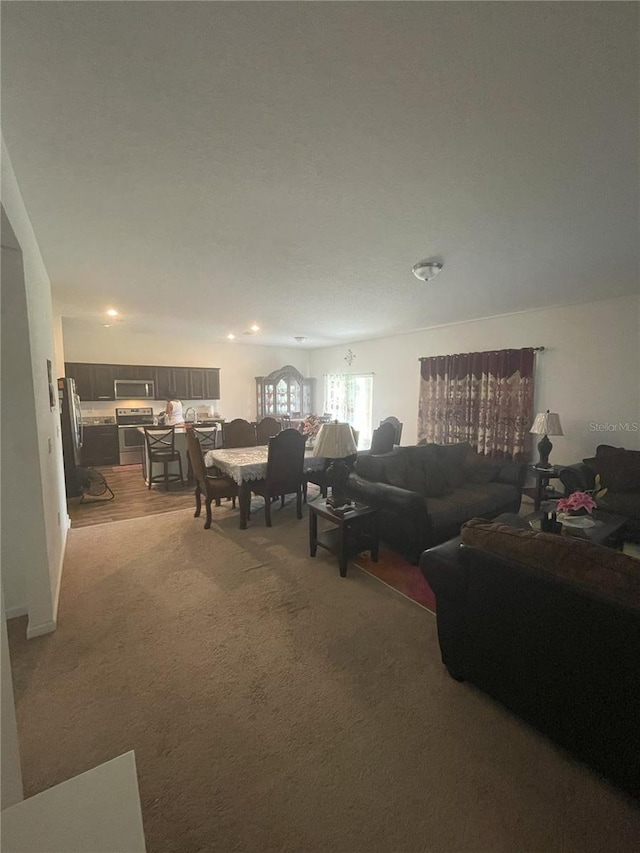 living room featuring light colored carpet