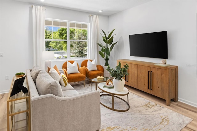 living room featuring light hardwood / wood-style floors