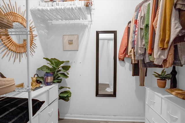 view of walk in closet