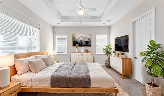 carpeted bedroom with a raised ceiling, multiple windows, and ceiling fan