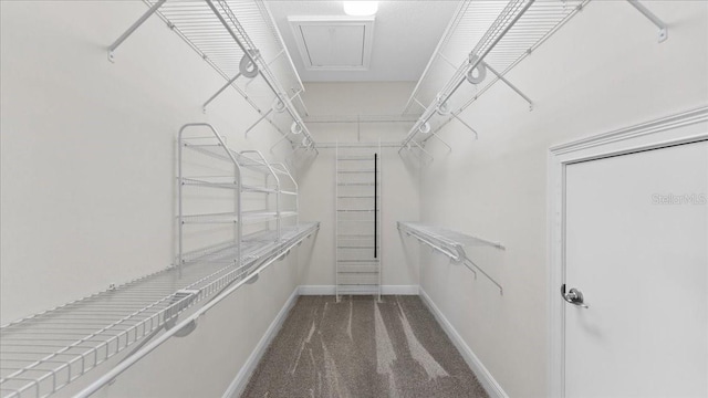 spacious closet featuring dark colored carpet