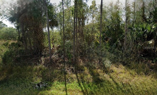 11533 3rd Ave, Punta Gorda FL, 33955 land for sale