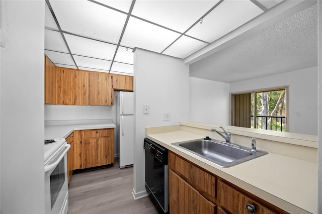 kitchen with light wood-type flooring, white appliances, and sink