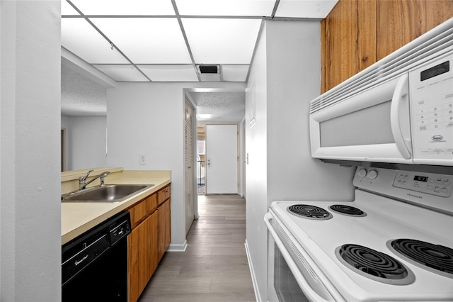 kitchen featuring white appliances, sink, and light hardwood / wood-style flooring