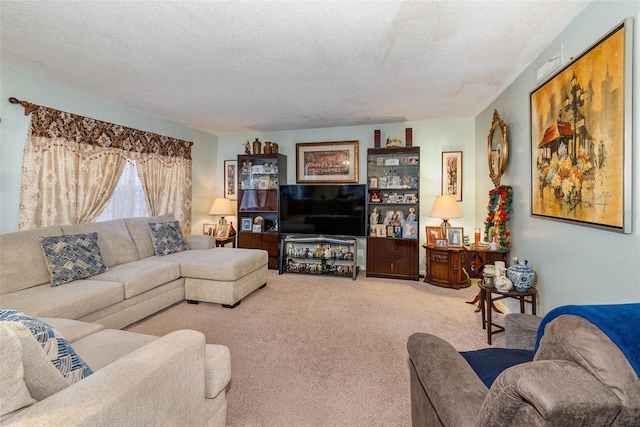 living room with carpet floors and a textured ceiling