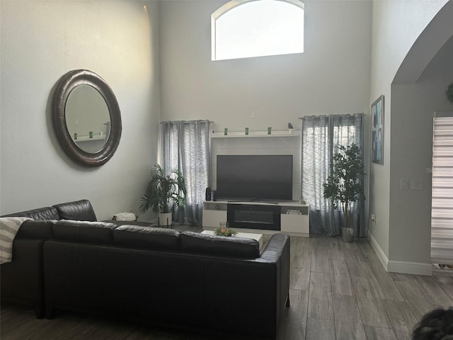 living room featuring a healthy amount of sunlight and hardwood / wood-style flooring