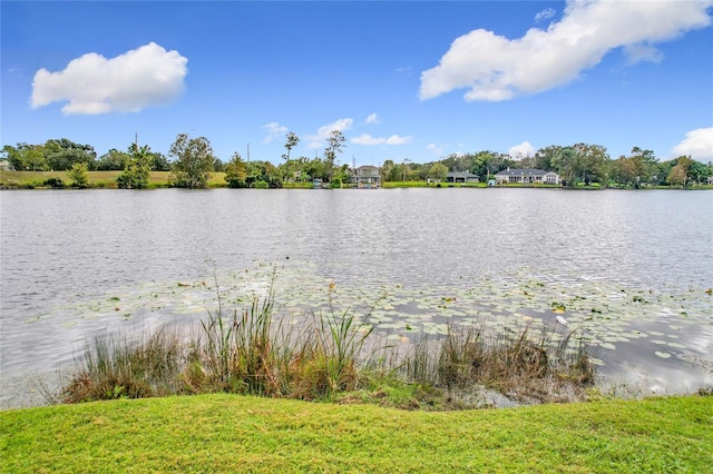 view of water feature