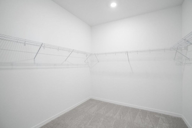 walk in closet featuring carpet