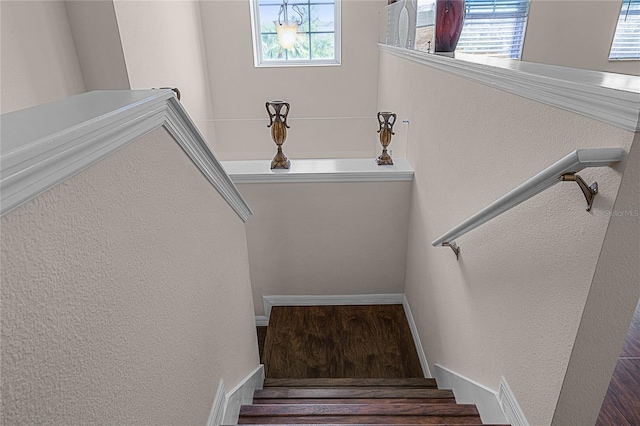 stairs with hardwood / wood-style floors