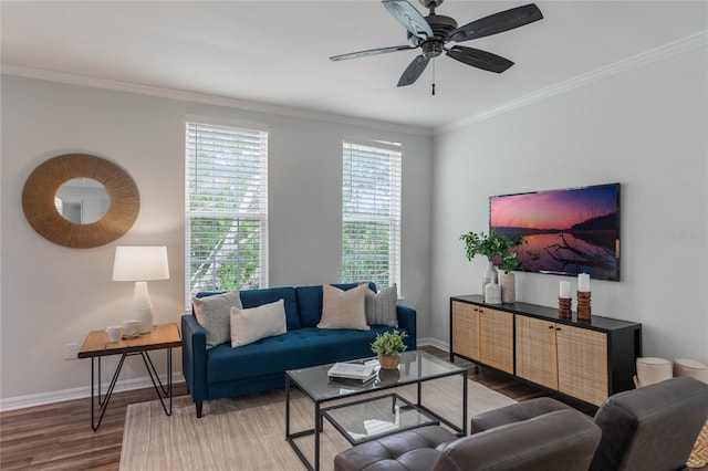 living room featuring dark hardwood / wood-style floors, ceiling fan, and ornamental molding