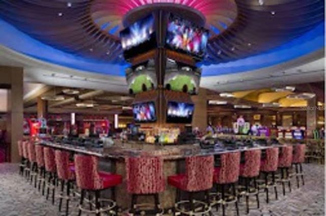 bar featuring carpet floors