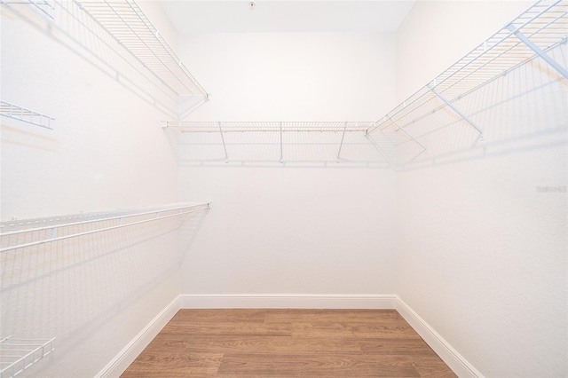 walk in closet featuring wood-type flooring