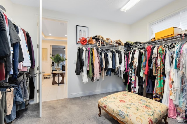 spacious closet with light colored carpet