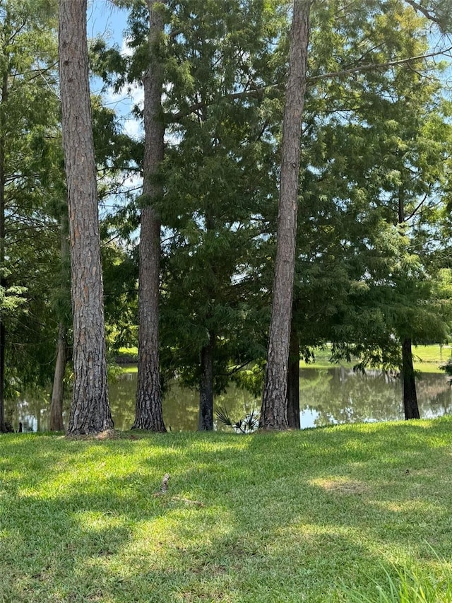 view of yard featuring a water view