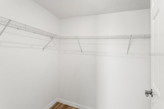 walk in closet with hardwood / wood-style flooring