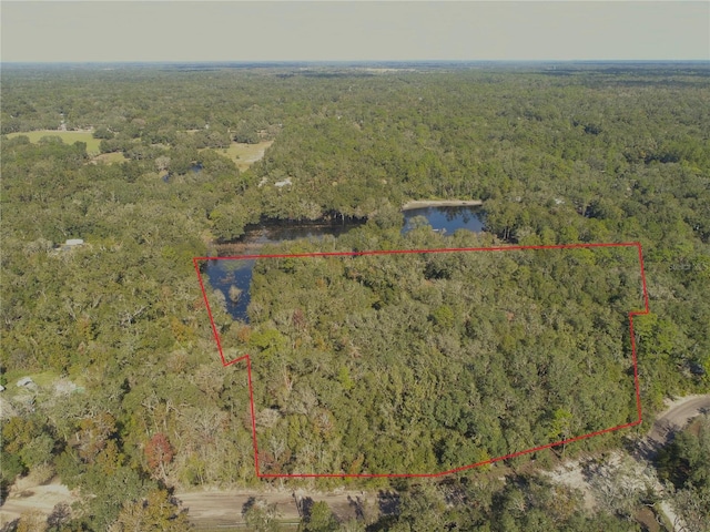 SW 129th Blvd, Webster FL, 33597 land for sale