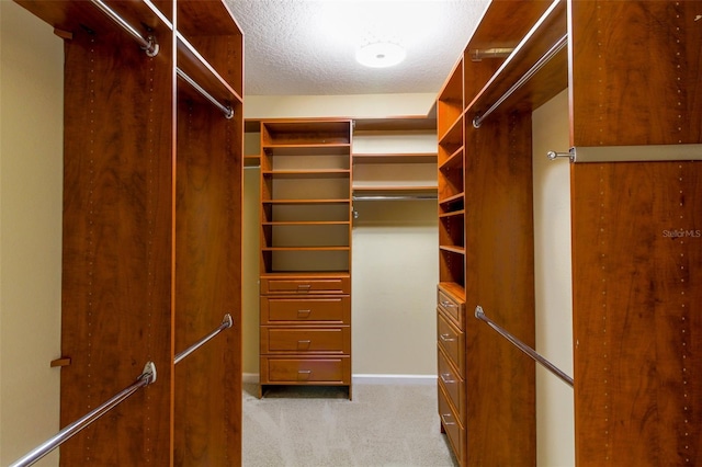 walk in closet with light colored carpet