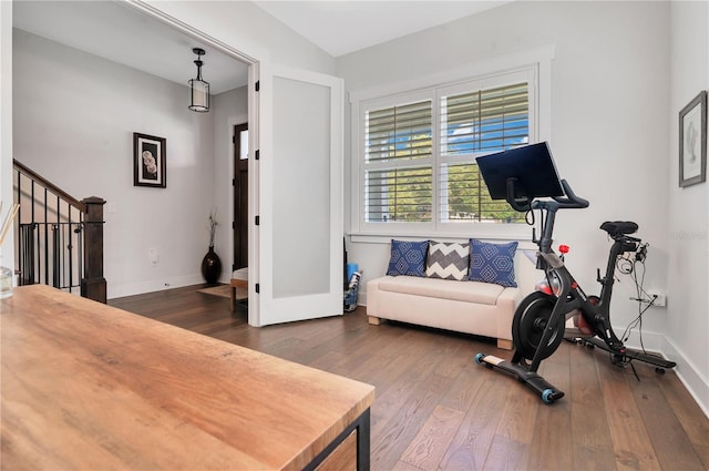 workout room with dark hardwood / wood-style floors