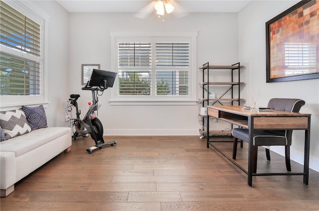 workout area featuring hardwood / wood-style floors and ceiling fan