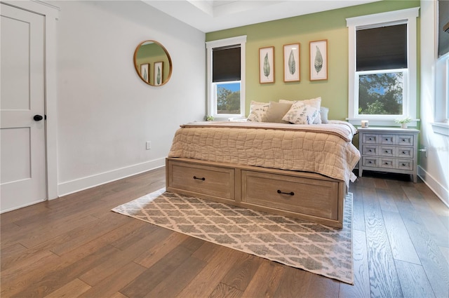 bedroom featuring dark hardwood / wood-style floors