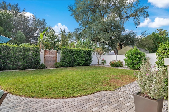 view of yard featuring a patio area