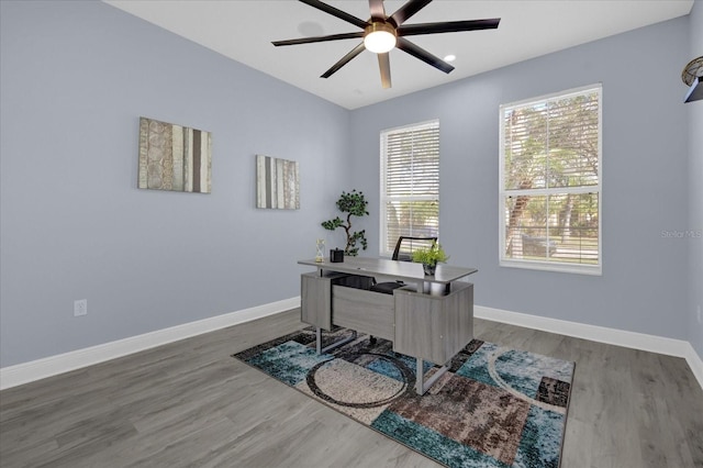 office area featuring ceiling fan and hardwood / wood-style flooring