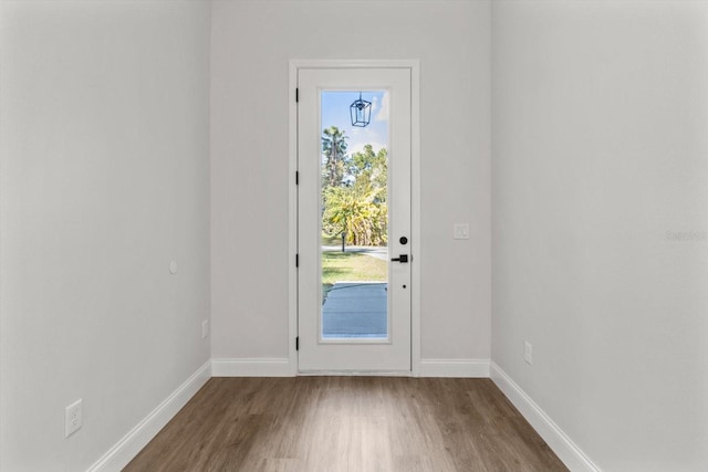 entryway featuring dark hardwood / wood-style floors and a wealth of natural light