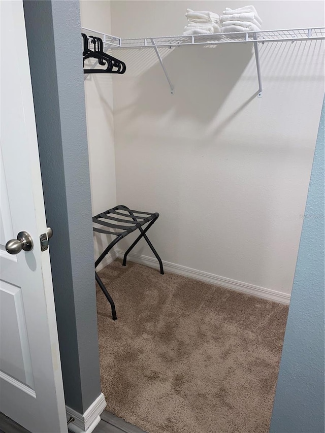 walk in closet with carpet floors