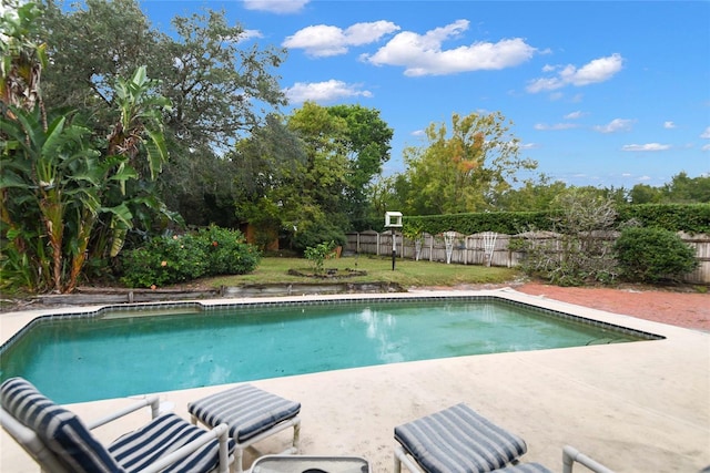 view of pool with a patio area