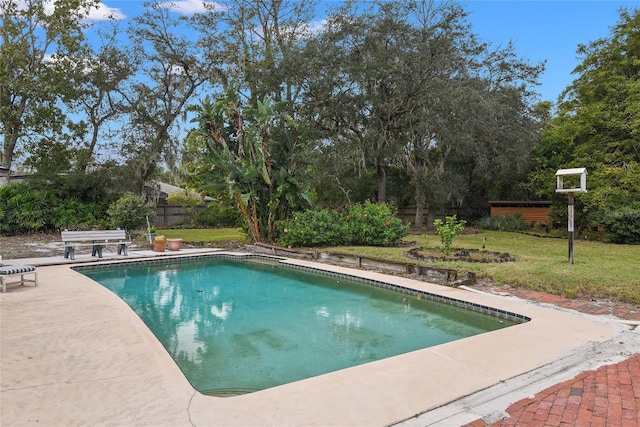 view of pool featuring a patio area and a lawn