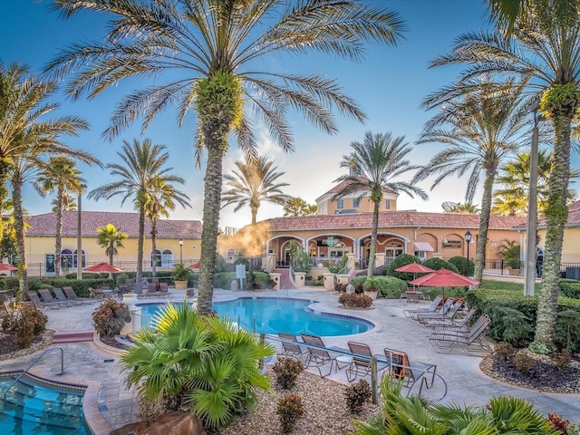 view of swimming pool with a patio