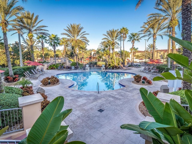 view of swimming pool with a patio area