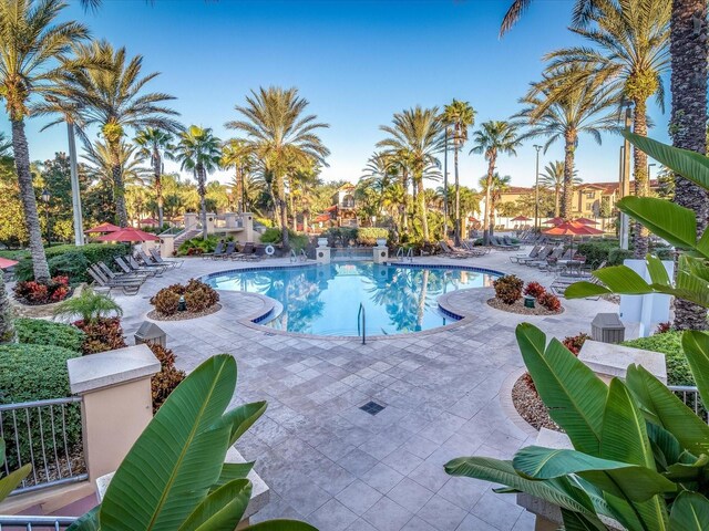 408 Miramar Ave, Davenport, FL 33897 - community pool featuring a patio