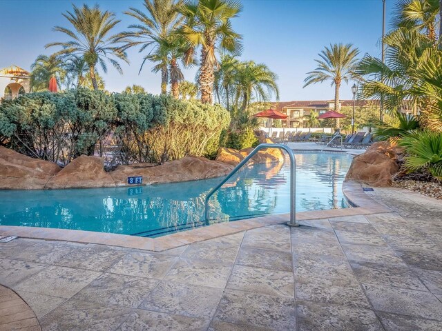 408 Miramar Ave, Davenport, FL 33897 - outdoor pool with a patio area
