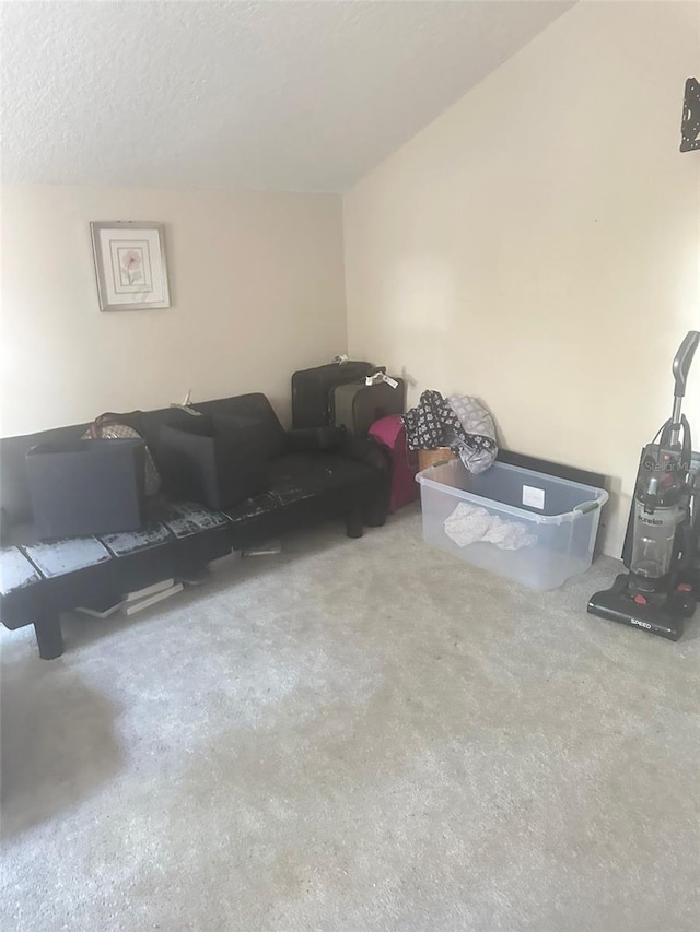 living room with a textured ceiling