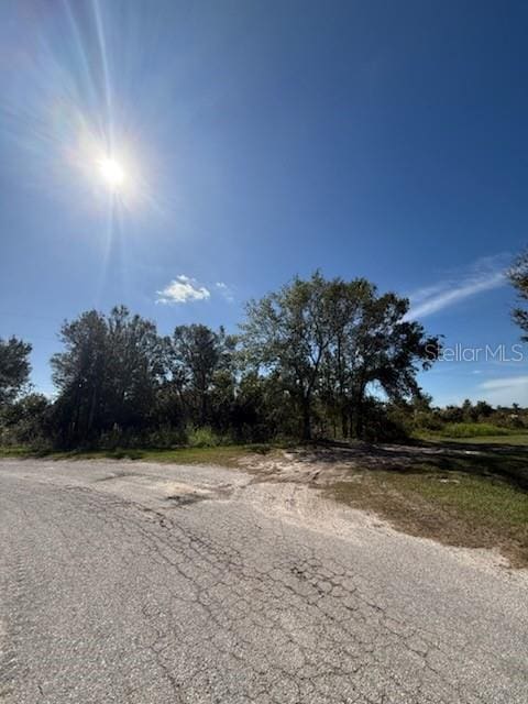 Listing photo 3 for Whippoorwill Ln, Wauchula FL 33873