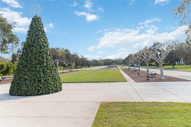 view of community with a lawn