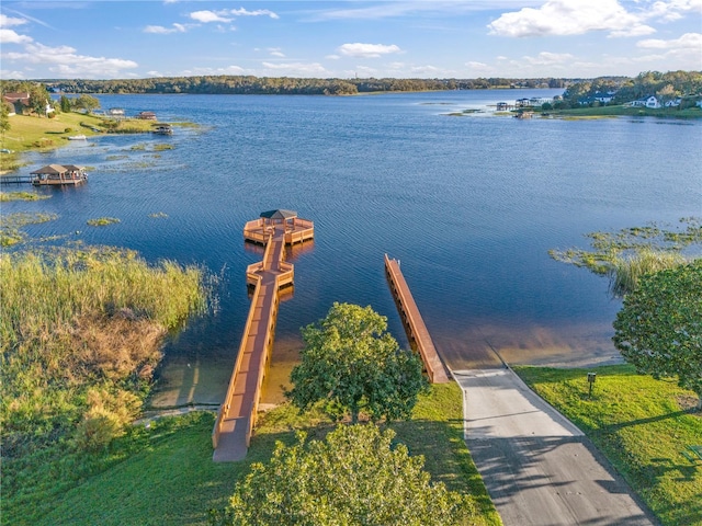 property view of water with a boat dock