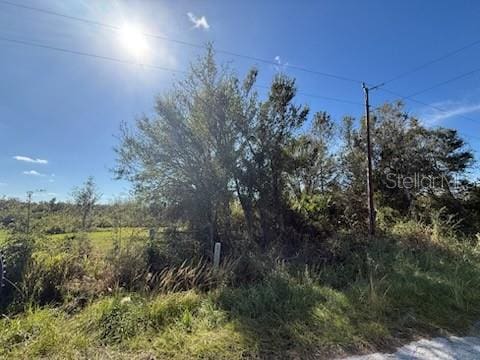 Whippoorwill Ln, Wauchula FL, 33873 land for sale